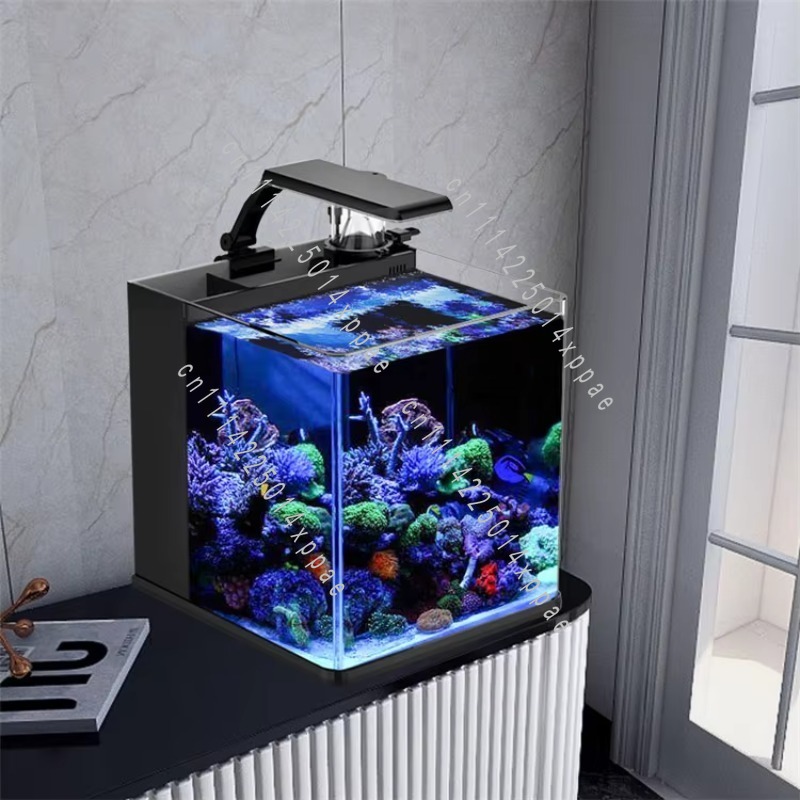Aquarium Marine Salt - Mini Acuario Marino de Agua Salada