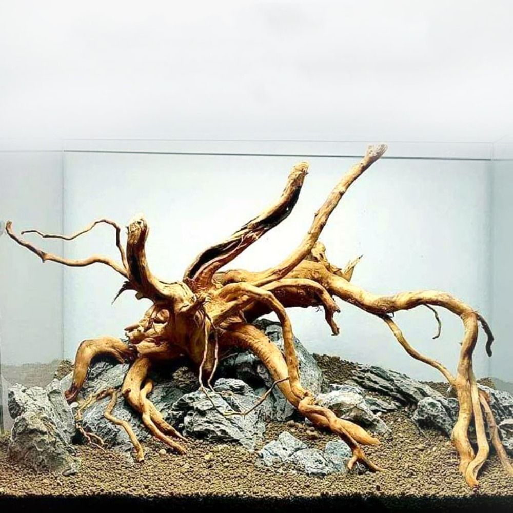 Aquarium Marine Rock - Decoración de tronco de árbol Natural