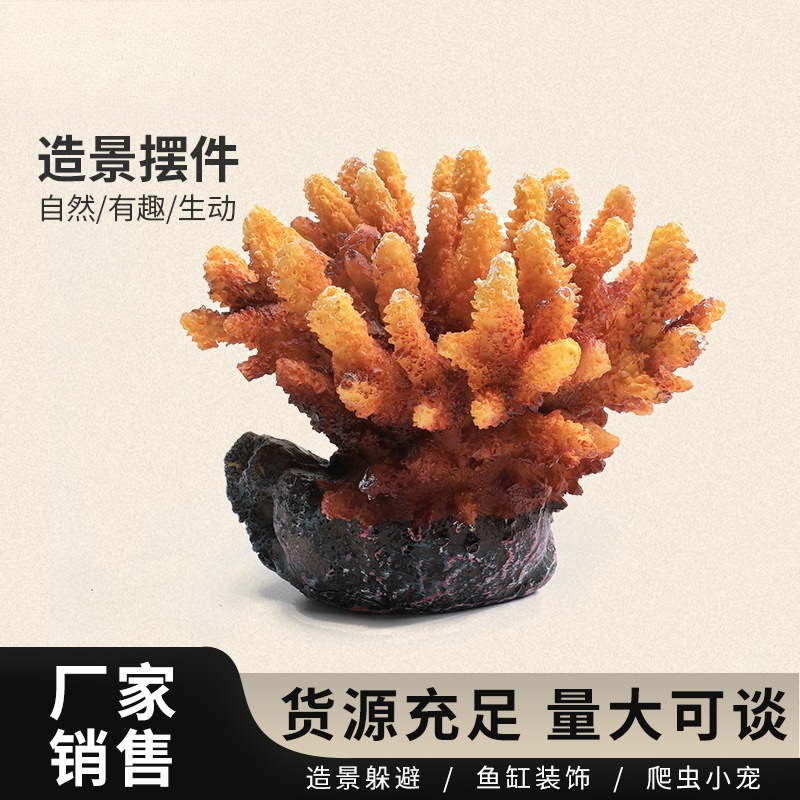 Piedra de arrecife de coral si - Aquarium Marine Rock reseña y precio