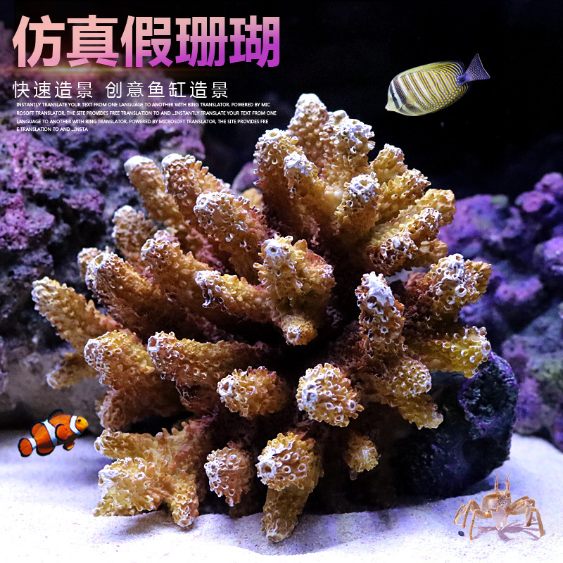 Piedra de arrecife de coral si - Aquarium Marine Rock reseña y precio