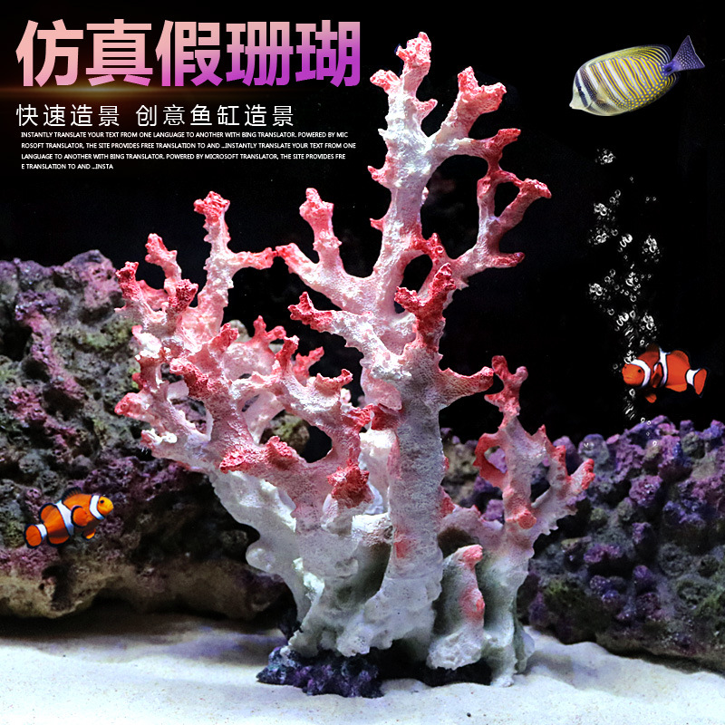 Piedra de arrecife de coral si - Aquarium Marine Rock reseña y precio