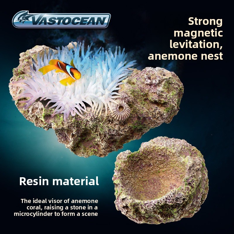VASTOCEAN Soporte magnético pa - Aquarium Marine Rock reseña y precio