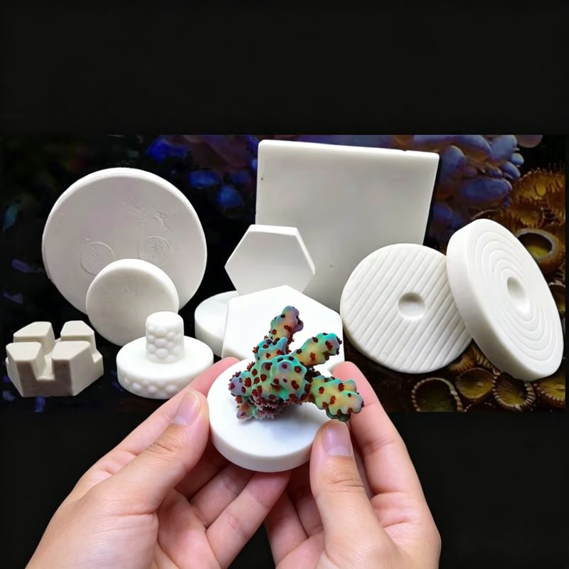 Base de Cerámica SPS para Frag - Aquarium Marine Rock reseña y precio