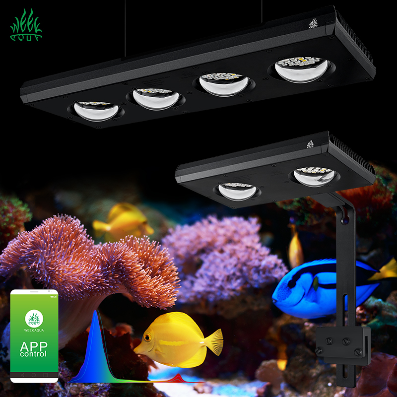 ZXY gran oferta WEEKAQUA Z250  - Aquarium Blue Marine reseña y precio