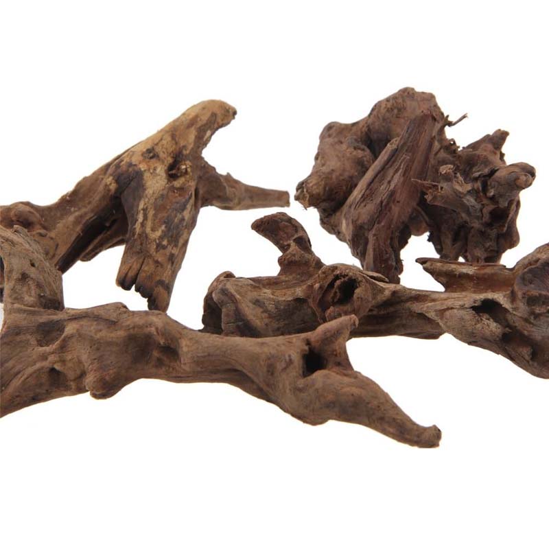 1 unidad de acuario Natural hu - Aquarium Marine Rock reseña y precio