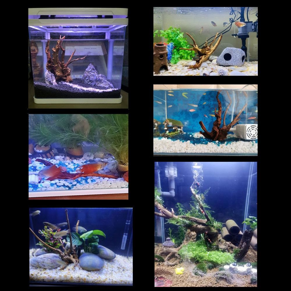 Decoración de tronco de árbol  - Aquarium Marine Rock reseña y precio