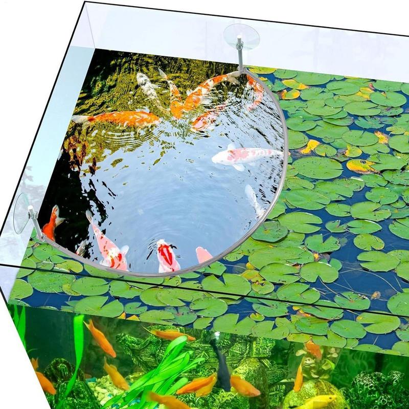 Anillo de alimentación de pece - Aquarium Marine Filter reseña y precio