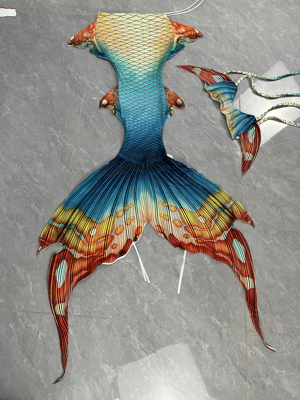 Nuevo patrón cola de sirena al - Aquarium & Marine Museum Universiti Malaysia Sabah Kota Kinabalu Sabah Reviews reseña y precio