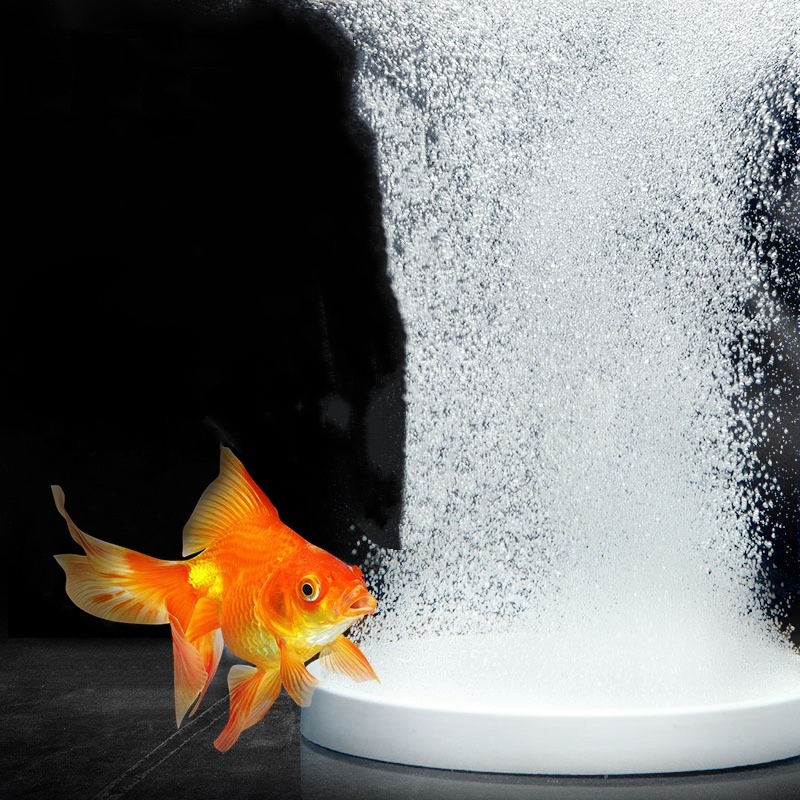 Disco de Aire Nano para Acuari - Marine Aquarium Equipment reseña y precio